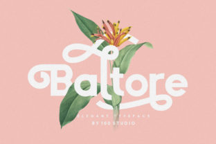 Baltore: A Sophisticated Sans Serif for Modern Editorial Design