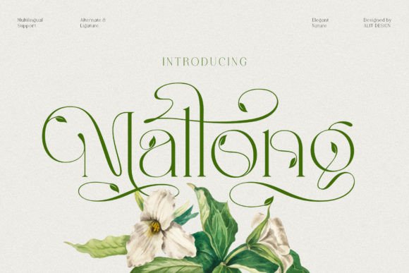 Mallong: The Elegant Serif Typeface for Modern Campaigns